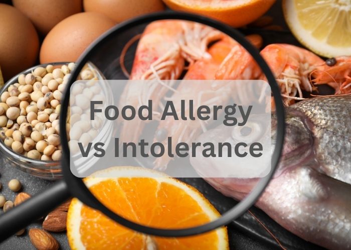 image showing food types that may cause food allergy or intolerance